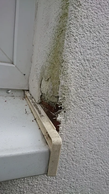 Poškozená fasáda s odlupujícím se tepelnou izolací a plísní.