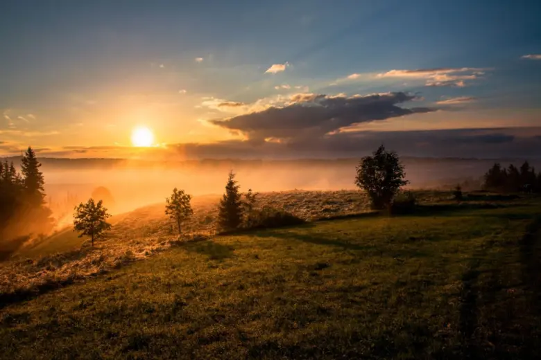 Ranní slunce svítící přes mlhu nad travnatým kopcem s stromy.