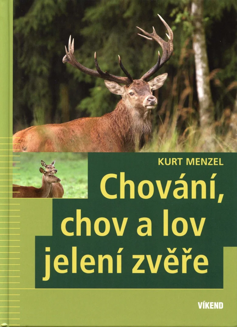 Jelení samce v lesním prostředí s dvěma jelenicemi.