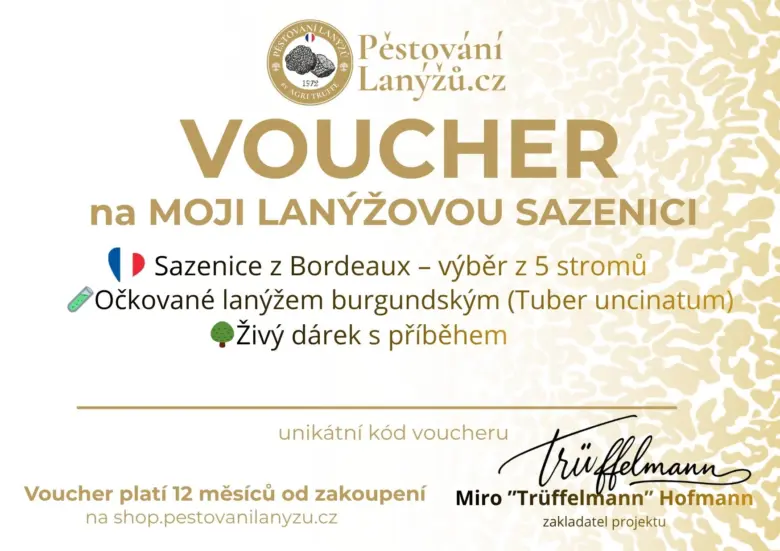 Voucher na lanýžovou sazenici z Bordeux s očkovaním burgundským