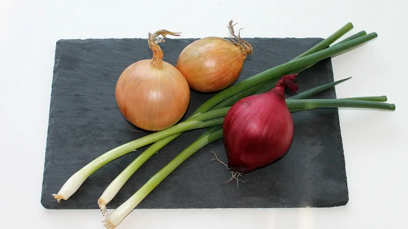 Žluté cibule, červená cibule a jarní cibulka na šedém kamenném podkladu.