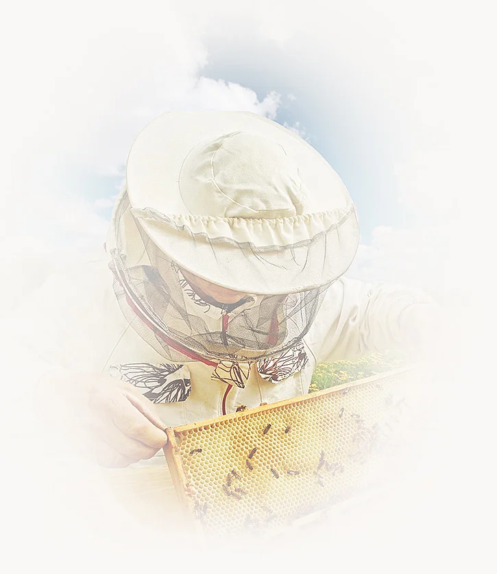 Beekeeper with honeycomb frame