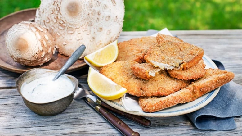 Houbové řízky s citronem a omáčkou na talíři