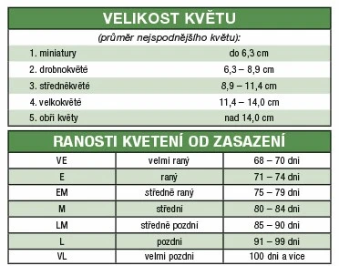 Tabulka s velikostí květů a raností kvetení od zasazení