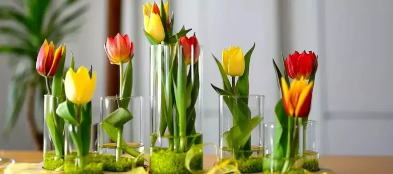 Květinová dekorace s narcisovými tulipány v sklenicích na stole.