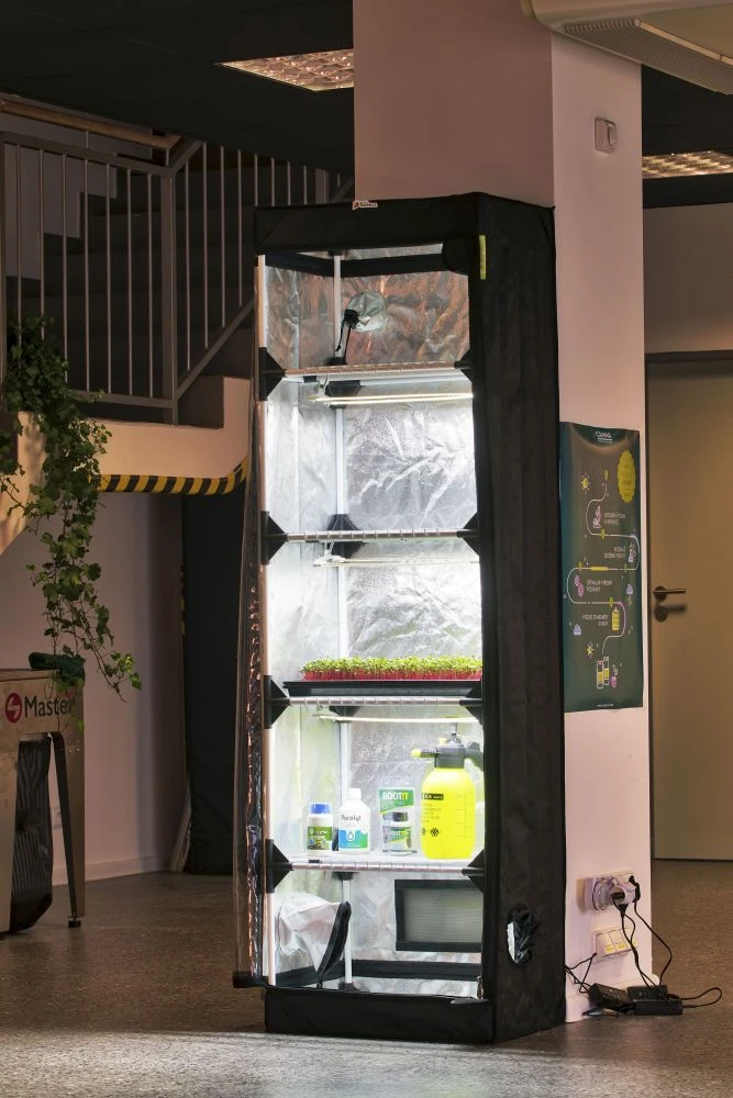 Domácí skříň na pěstování microgreens s rostlinami a světlem.