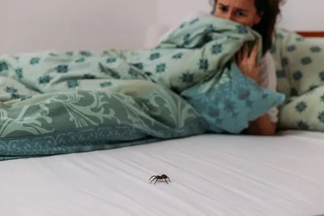 Žena se bojí pavouka v posteli.