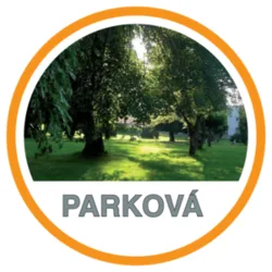 Jakou travní směs na zahradu vybrat: praktický průvodce