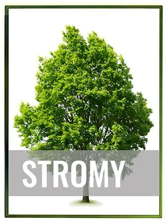 Zelený strom vhodný pro výběr do zahrady.