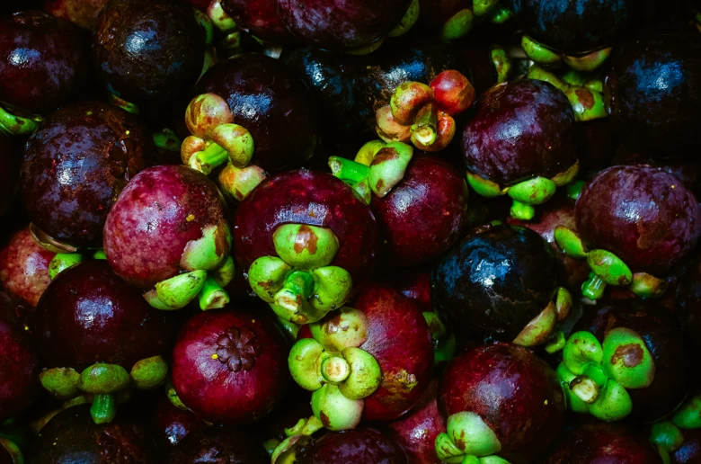 Skládka čerstvých exotických plodů mangostan s fialovou kůrou a zelenými stopkami.