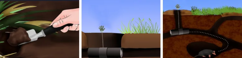 Krtek na zahradě jak se ho zbavit: účinné metody a rady