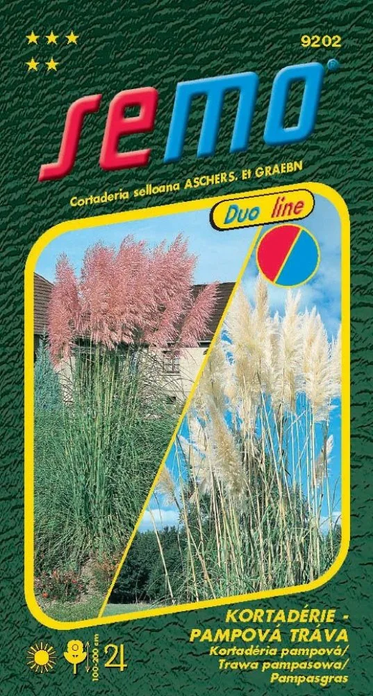 Pampová tráva v květu na sadbě s názvem Cortaderia selloana