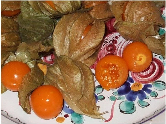 Zralé plody fízi s suchými obaly na ozdobném talíři.