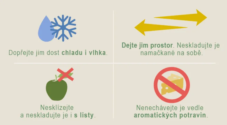 Infografika s tipy na správné skladování jablek.