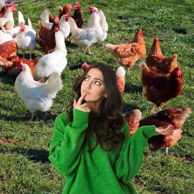 Žena mezi slepici na trávníku