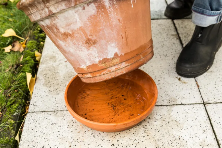 Květináč s plísní převracený nad miskou na zahradě