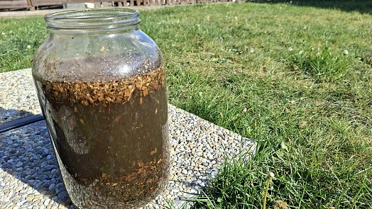 Skleněná nádoba s kopřivovou jíchou na zahradě