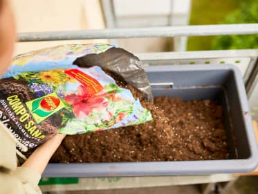 Compost soil for plants