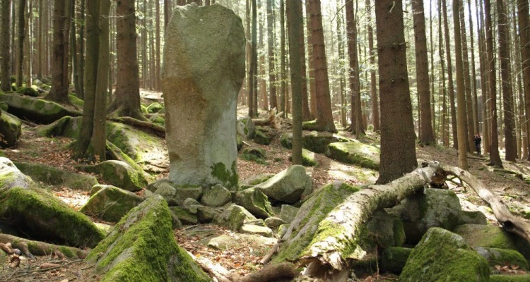 Velký kamenný sloup stojí uprostřed lesa mezi stromy.