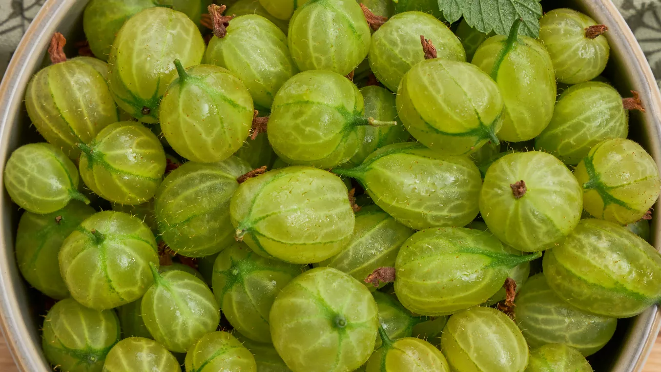 Gooseberries in bowl